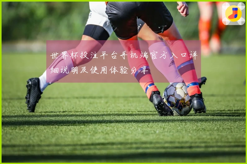 世界杯投注平台手机端官方入口详细说明及使用体验分享