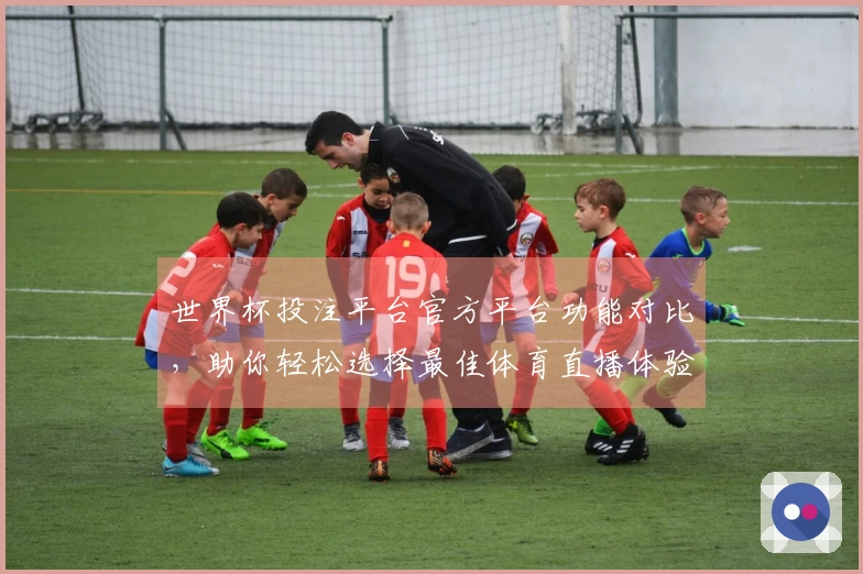 世界杯投注平台官方平台功能对比，助你轻松选择最佳体育直播体验